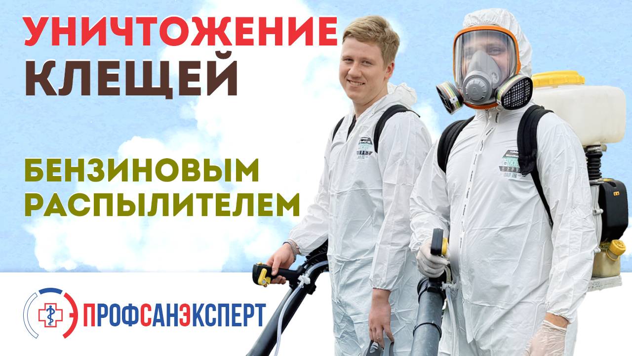 Видео превью