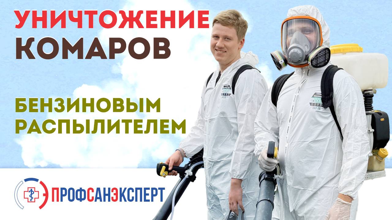 Видео превью